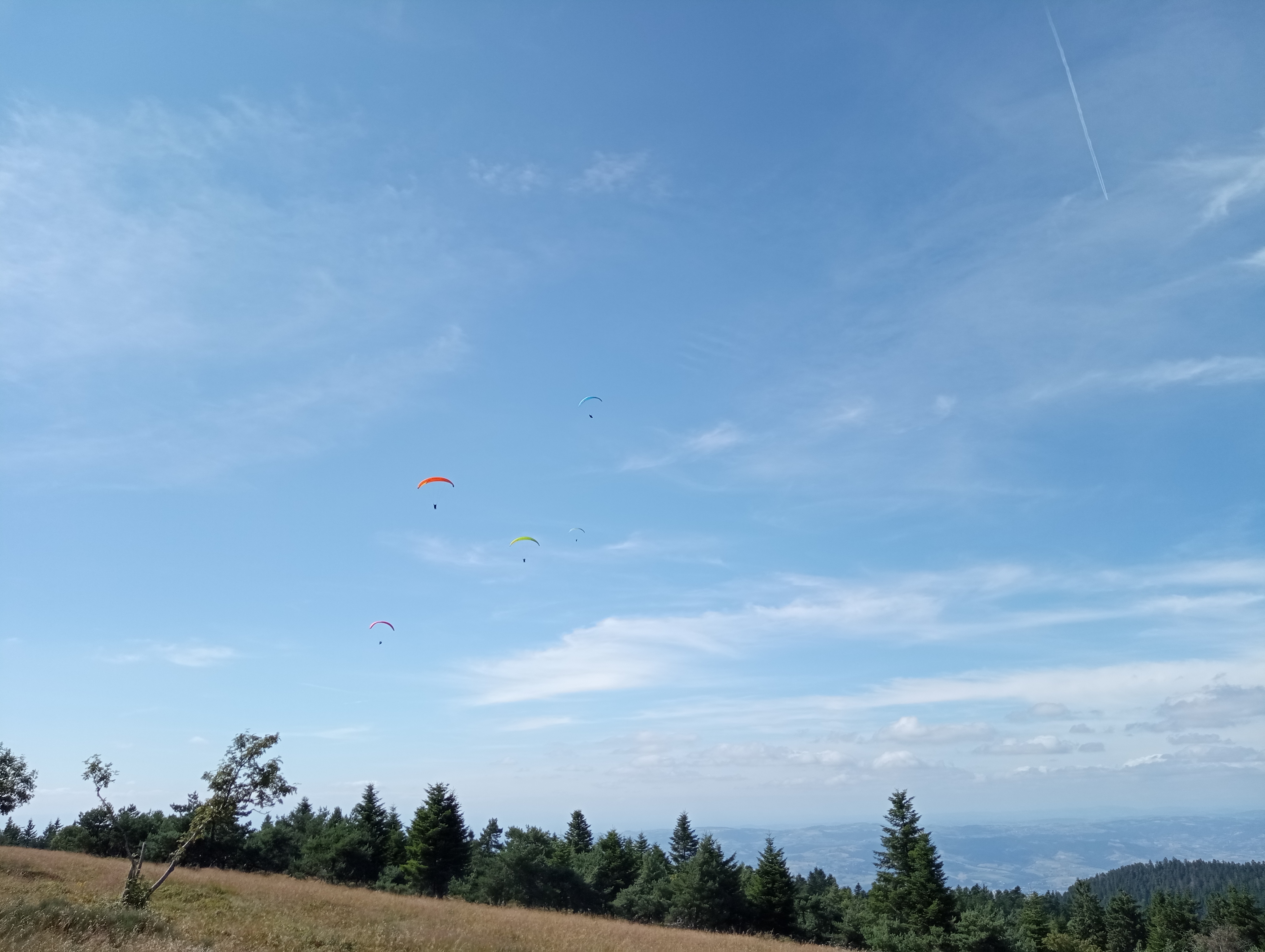 IMG_20240804_163415.jpg